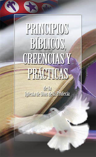 Exegesis Steps Expository Preaching
